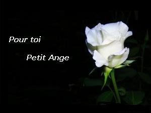 Une rose pour notre p'tit Ange Grégory...