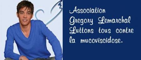 Association Grégory Lemarchal...