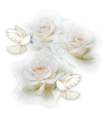 Pour notre Ange...