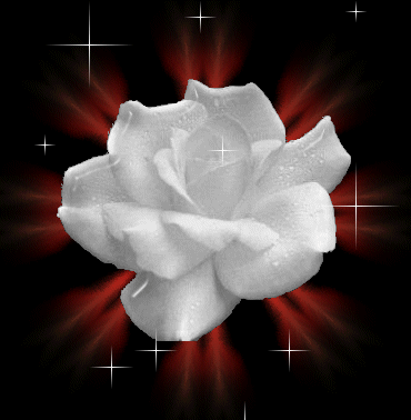 Pour toi mon Ange...