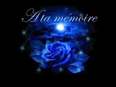 A la mémoire d'un Ange...